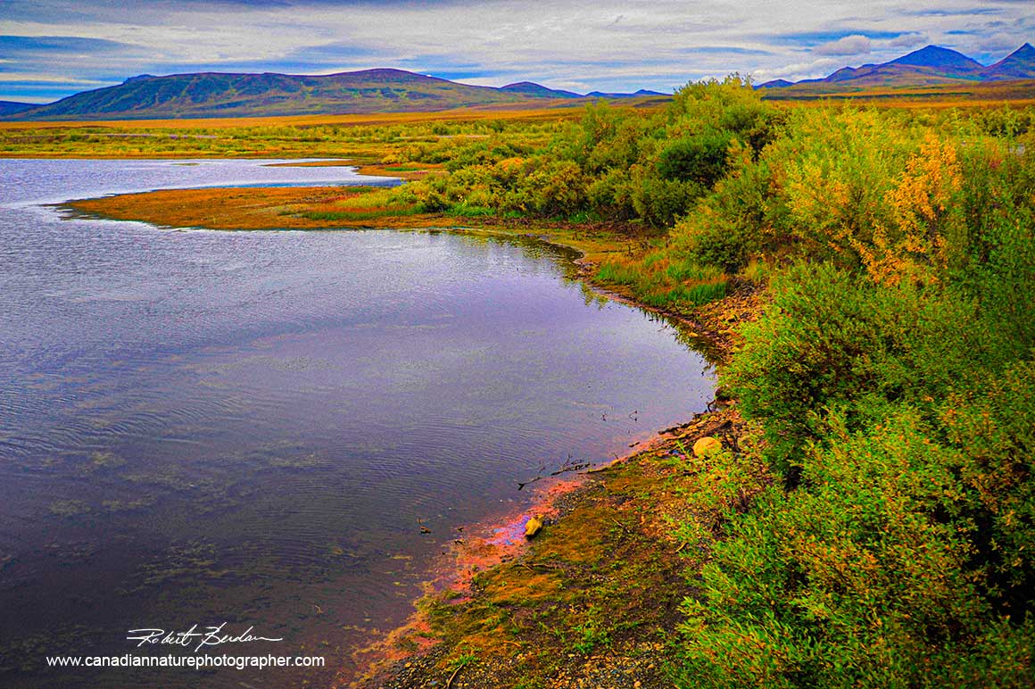 Small pond north of Whitehorse along the Alaska highway by Robert Berdan 
