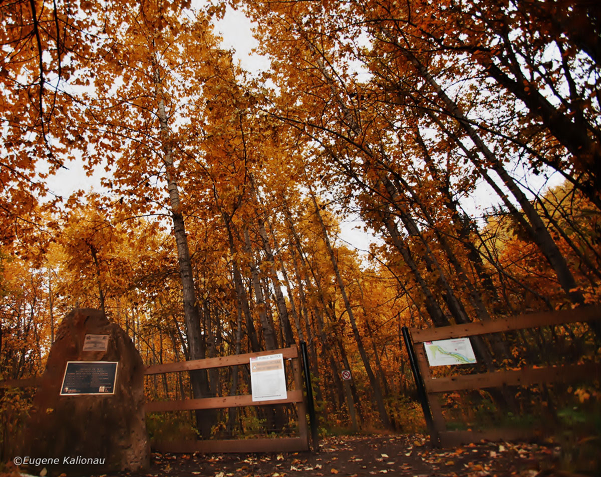 Autumn hiking trail Alberta by Eugene Kalionau ©