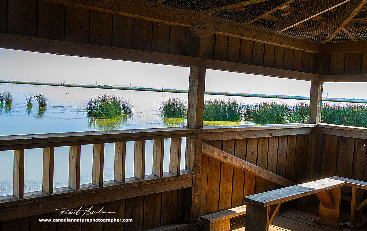 View from inside the blind at Frank Lake. by Robert Berdan ©