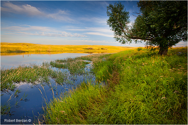 Pond at the Crossing Resort looking out onto Grasslands National Park by Robert Berdan 