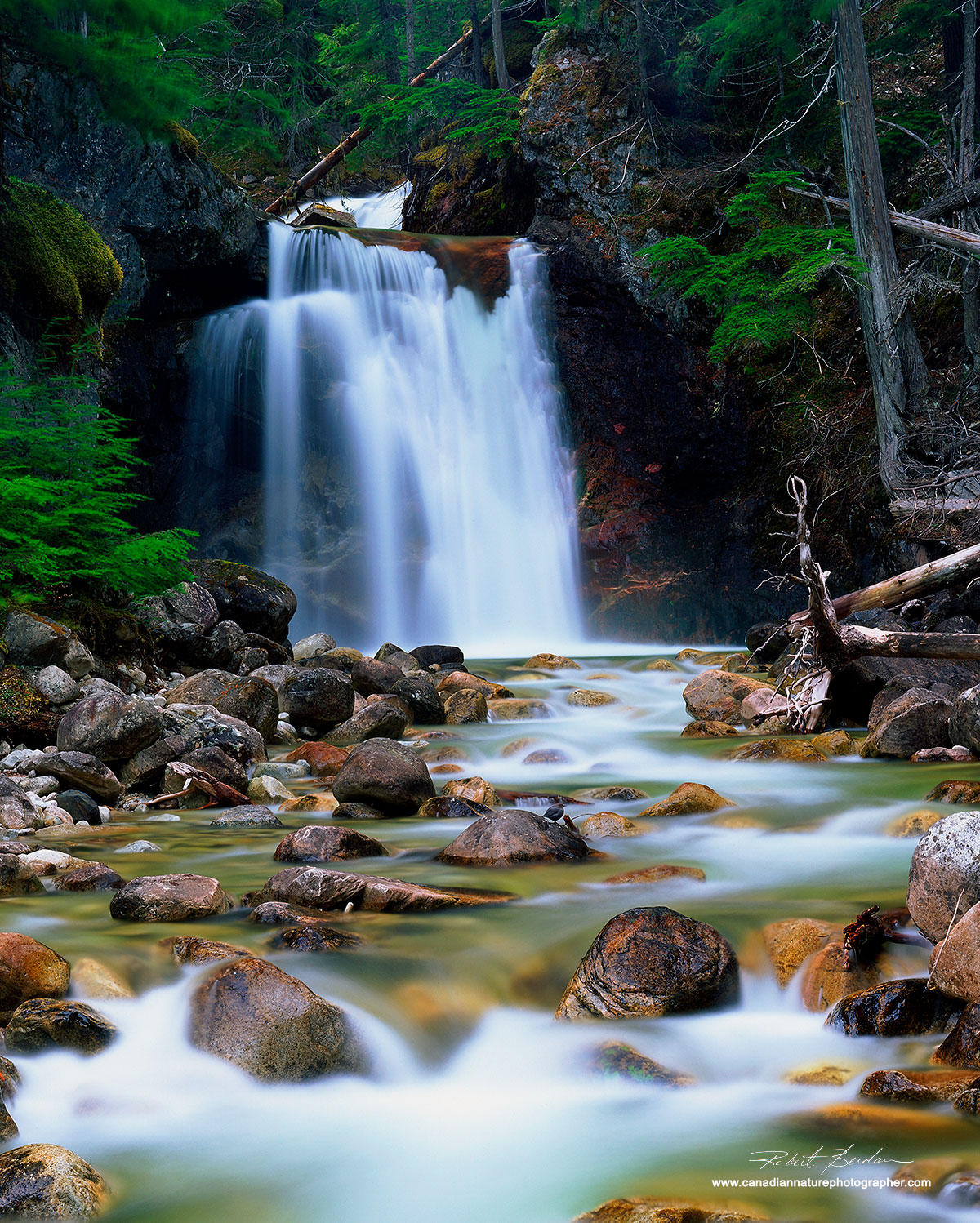 Gardner Creek waterfalls near Nakusp, BC. by Robert Berdan ©
