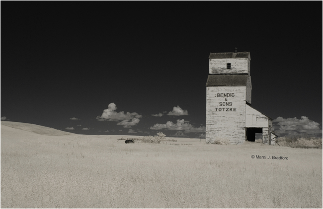 An abandoned grain elevator in rural Saskatchewan by Marnie J. Bradford ©