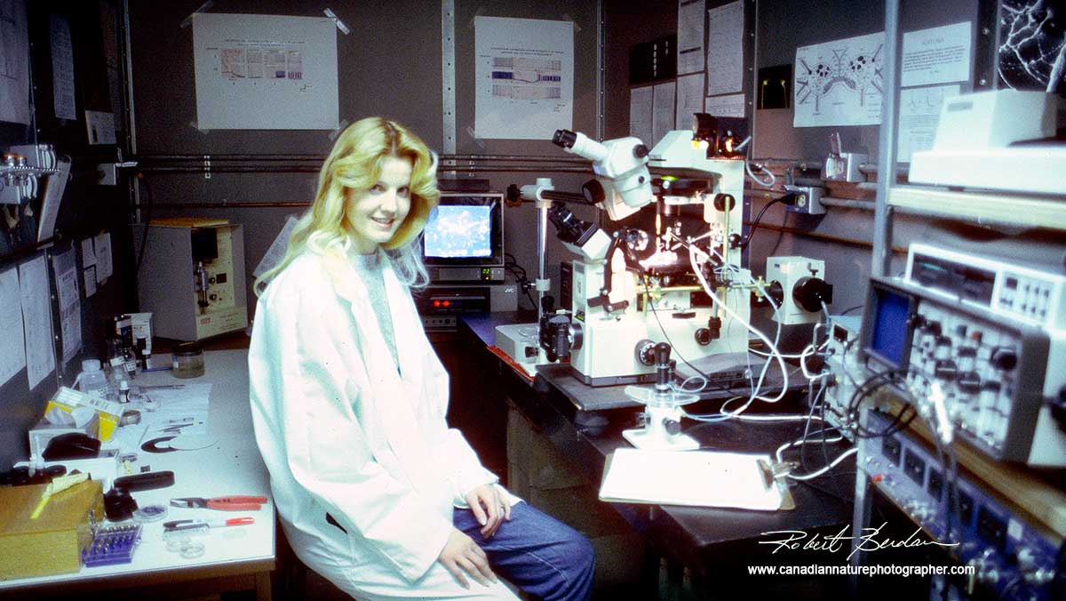 Inverted light microscope and Donna Berdan by Robert Berdan ©