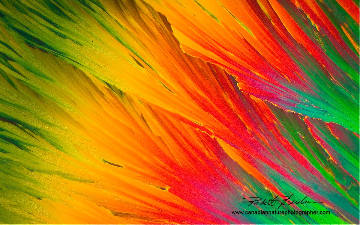 Ascorbic Acid Crystals (Vitamin C) Polarized light 400X by Robert Berdan ©