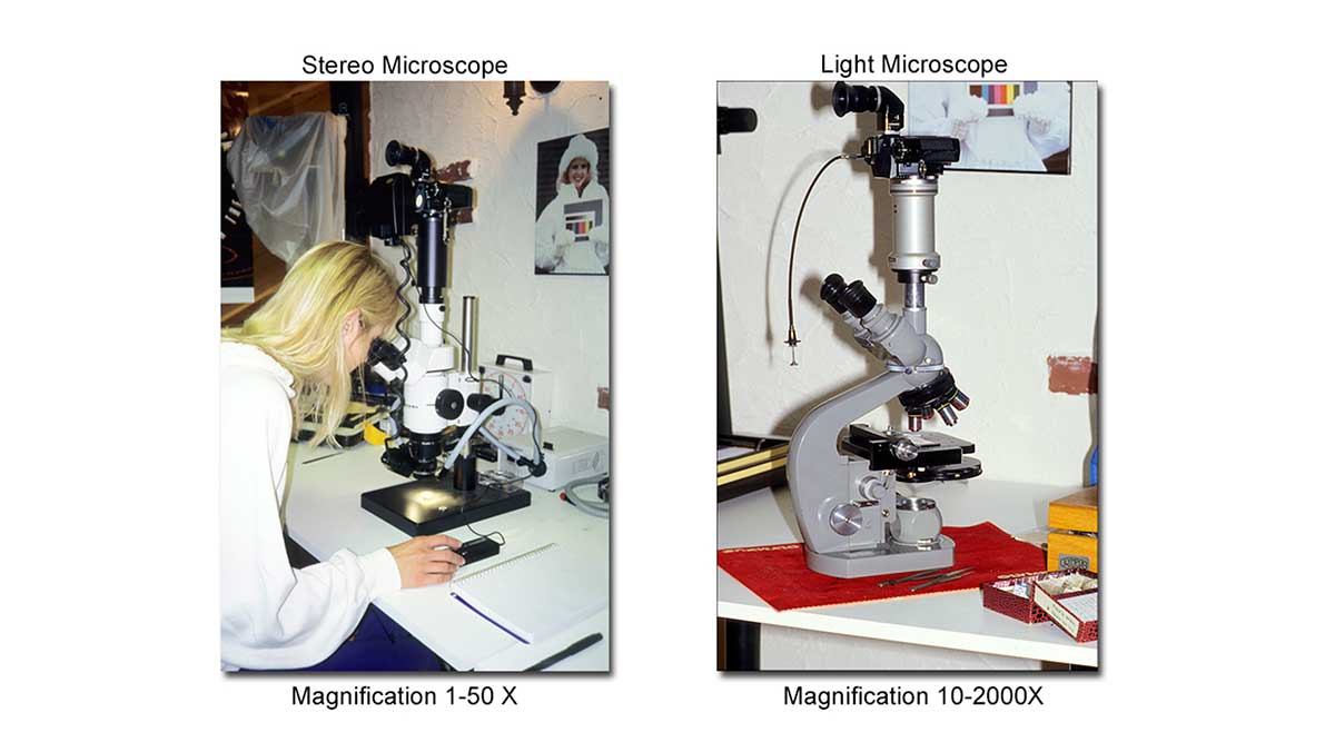 stereo and light microscopes by Robert Berdan 