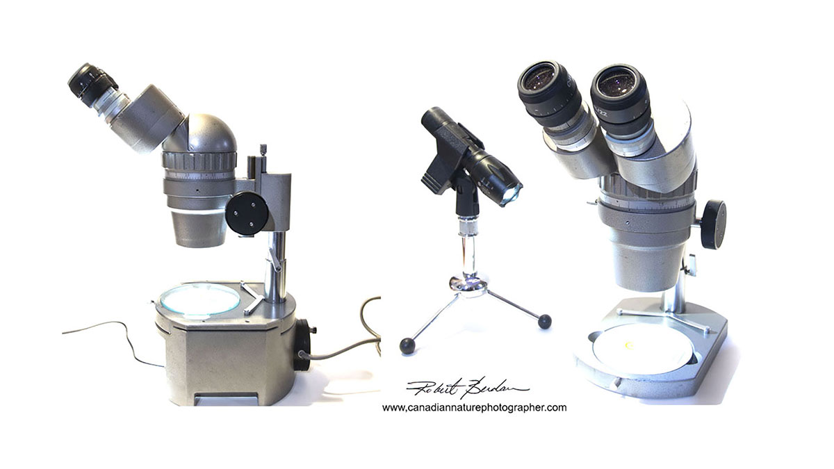 Olympus SMZ stereomicroscope by Robert Berdan ©