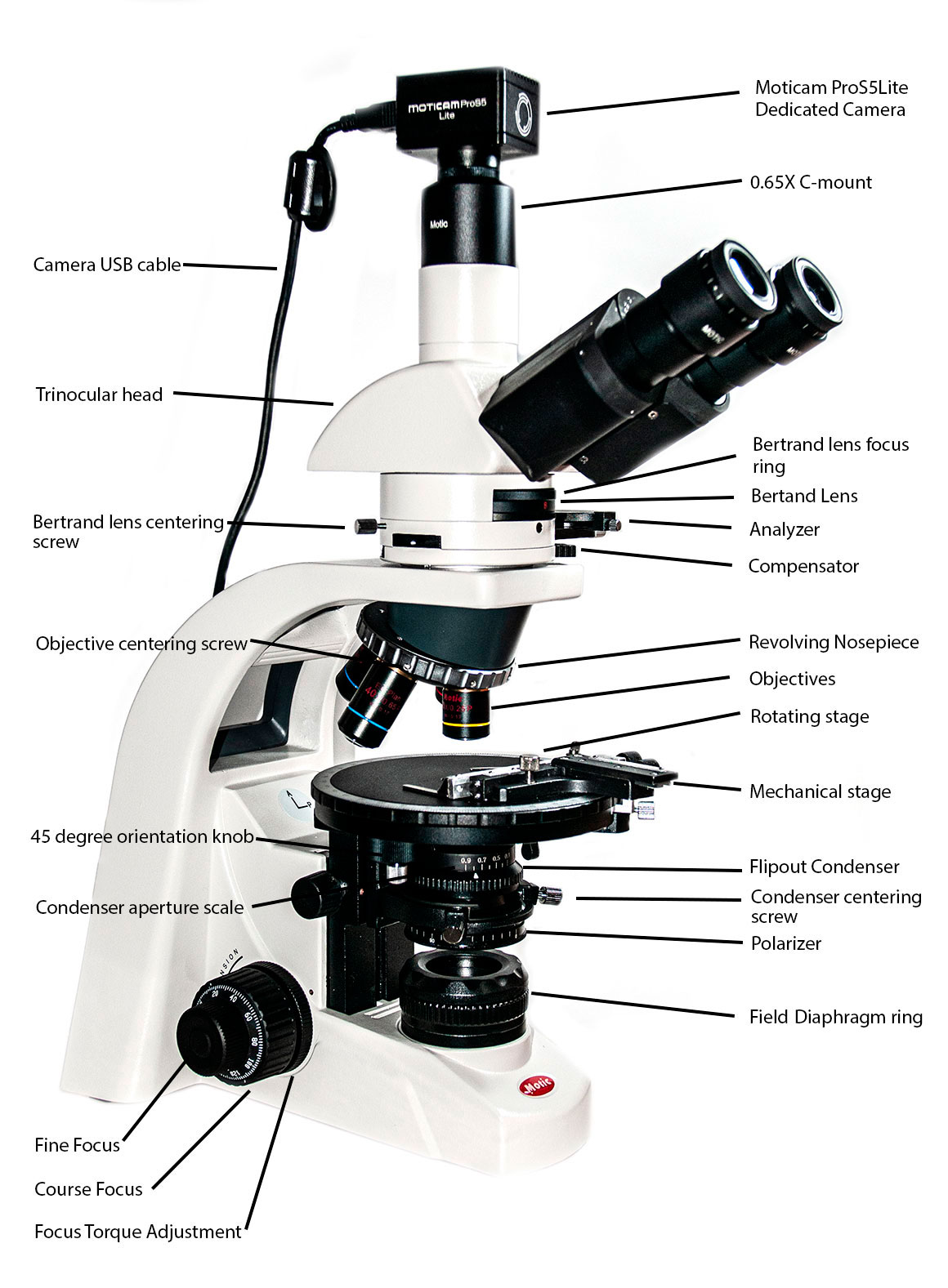 Motic BA310 Polarizing microscope Robert Berdan ©