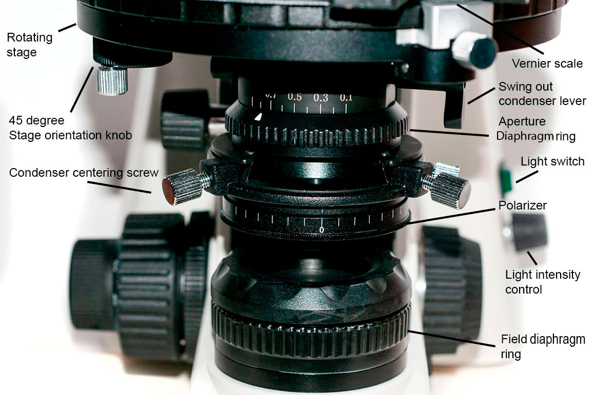 Moticam BA310 Polarizing microscopy condenser and light source Robert Berdan ©