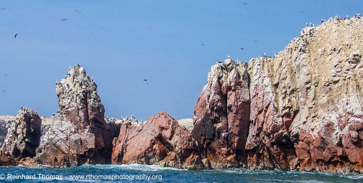 Birds around Ballestas Islands. by Reinhard Thomas ©