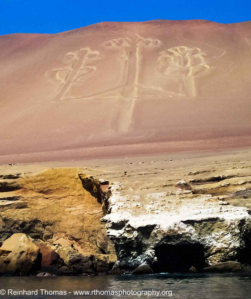 Candelbrum at Ballestus Islands  by Reinhard Thomas ©