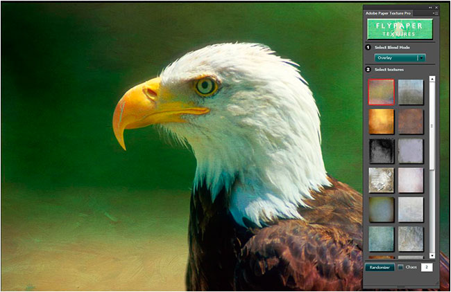Eagle with paper textures pro background by Robert Berdan 