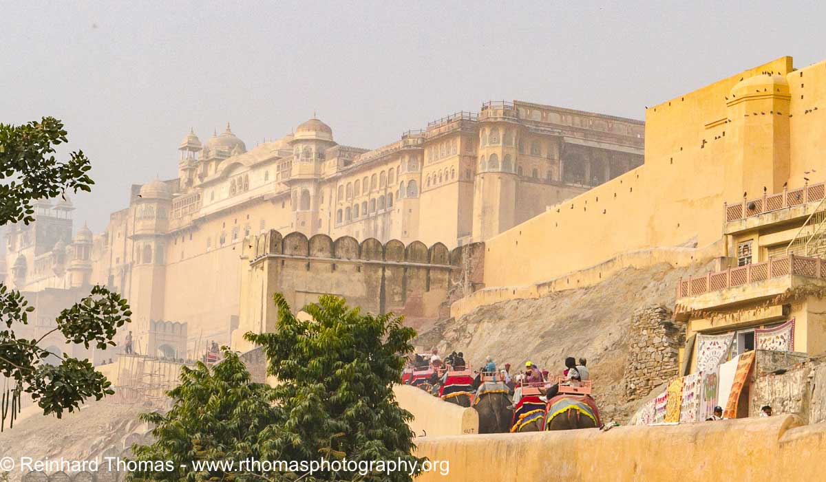 Elephant ride up to the huge Amber Fort in Jaipur  by Reinhard Thomas ©
