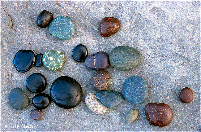 Smooth stones, Nootka beach by Robert Berdan ©