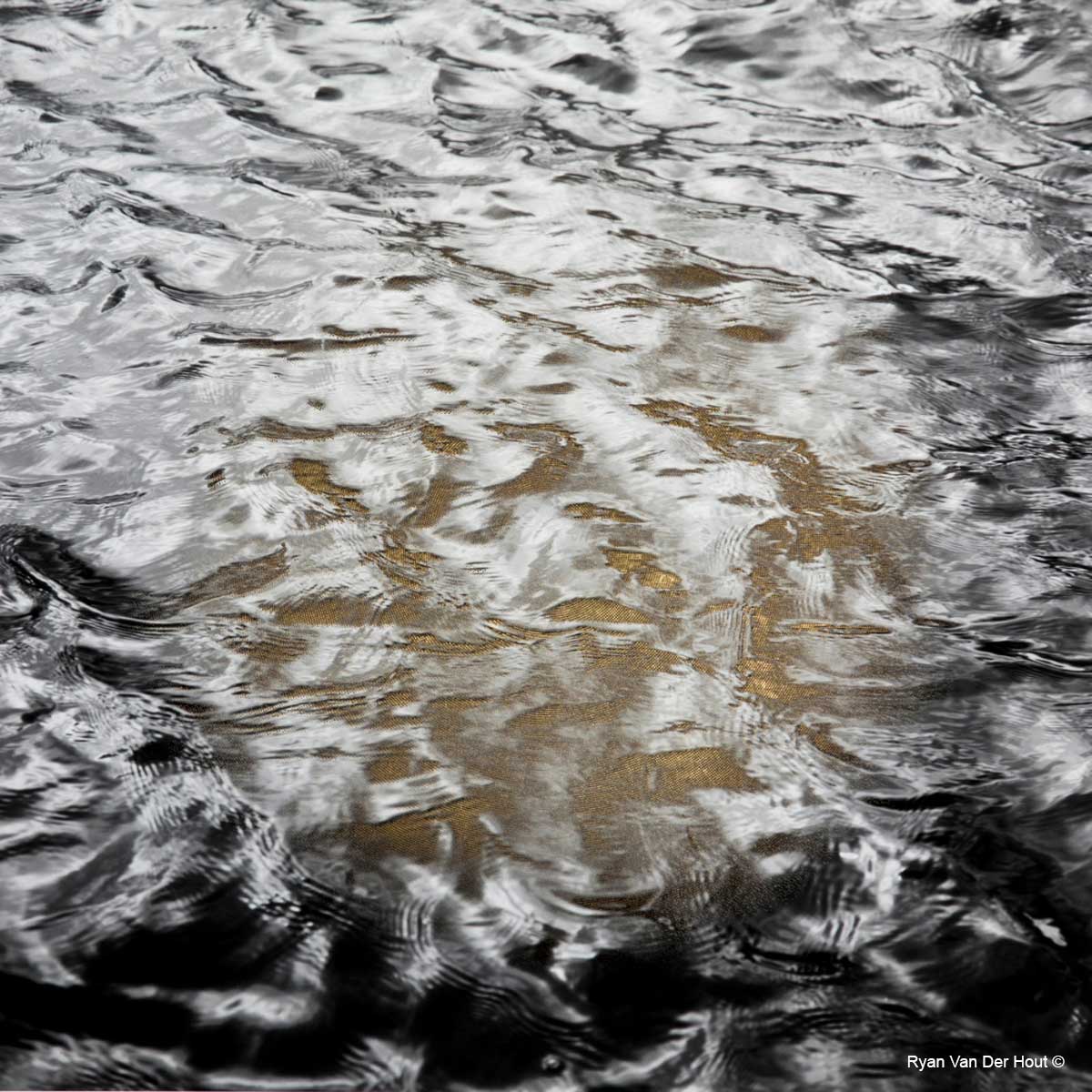 Under the Surface  by Ryan Van Der Hout ©