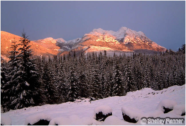 Mount Arrowsmith, Vancouver Island by Shelly Penner ©