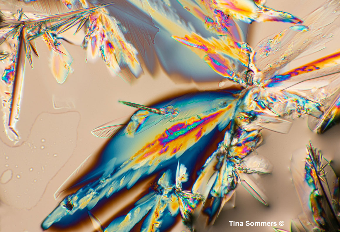 Crystals viewed by Polarized light microscopy 40X Tina Sommers ©