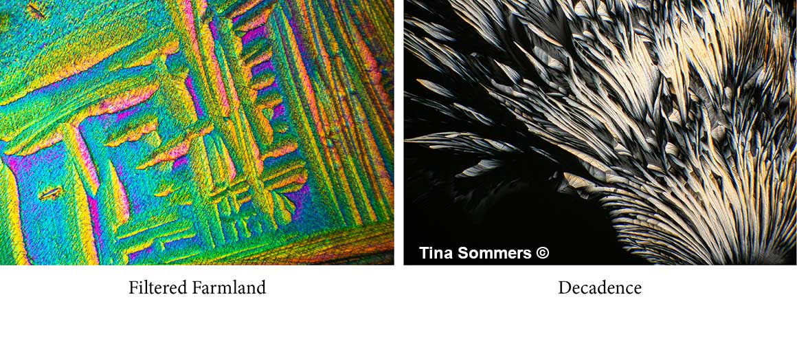 Crystals by polarized light microscopy 40X by Tina Sommers ©