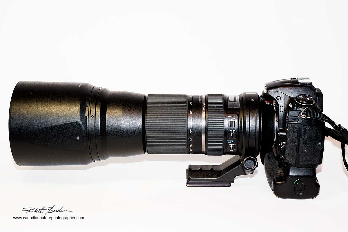 Tamron 150-600 mm lens by Robert Berdan ©