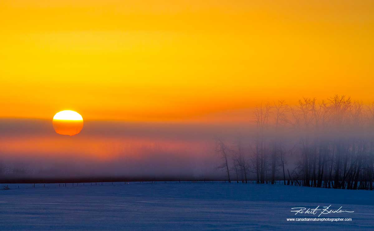Winter sunrise off highway 2 in Alberta by Robert Berdan ©