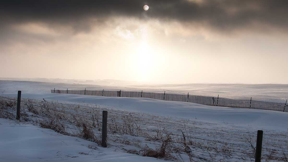 snow fence in wainter scene north of Calgary by Robert Berdan ©