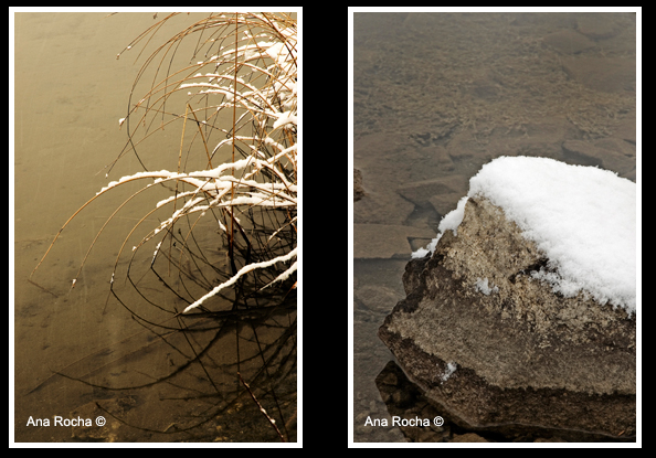 Grass and rock next to water in winter by Ana Rocha ©