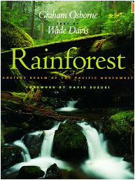 Rainfores - book cover 