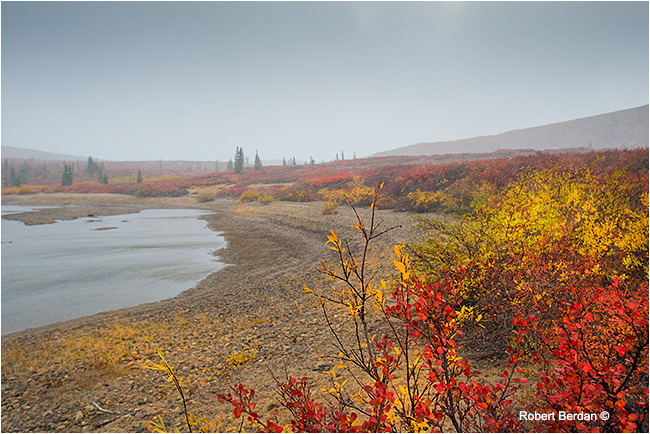 Tundra landscape by Robert Berdan ©