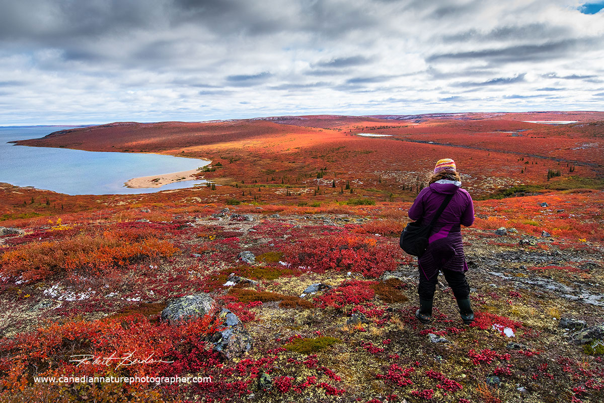 Tawna Brown surveys the tundra before taking some landscape photographs by Robert Berdan ©