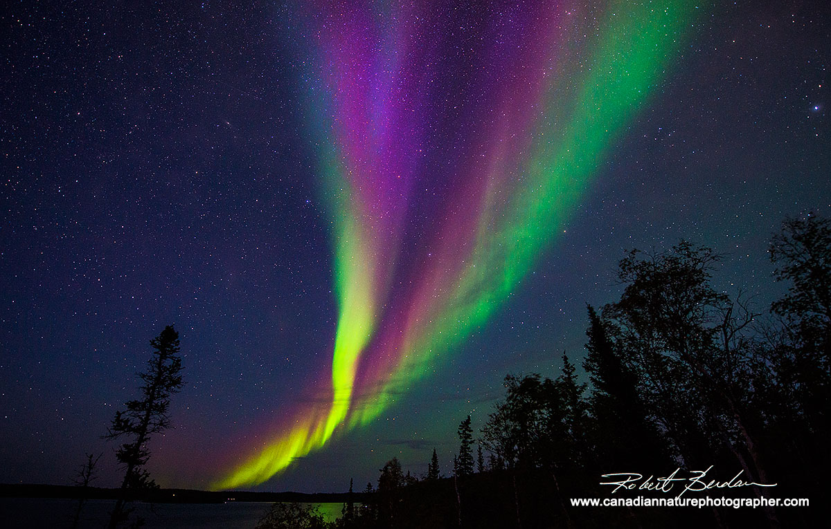Aurora over prosperous lake Robert Berdan ©