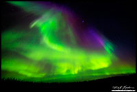 Aurora Borealis Yellowknife, NT by Robert Berdan
