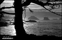Black and white photo at sunrise of Broken Island Group Uclulet, Vancouver Island, British Columbia by Robert Berdan 