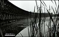 Black and white photo of Hog Bay Trestle 1972 Port McNicoll by Robert Berdan