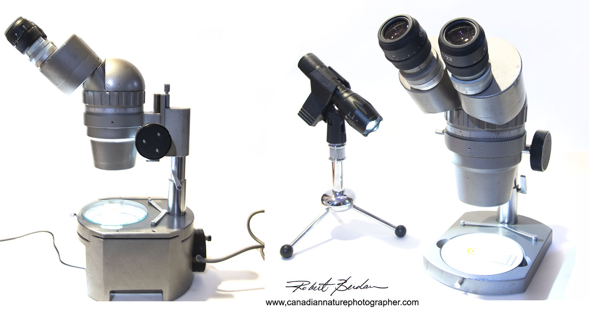 Olympus SMZIII zoom stereo microscope with 7-40X magnification Robert Berdan ©