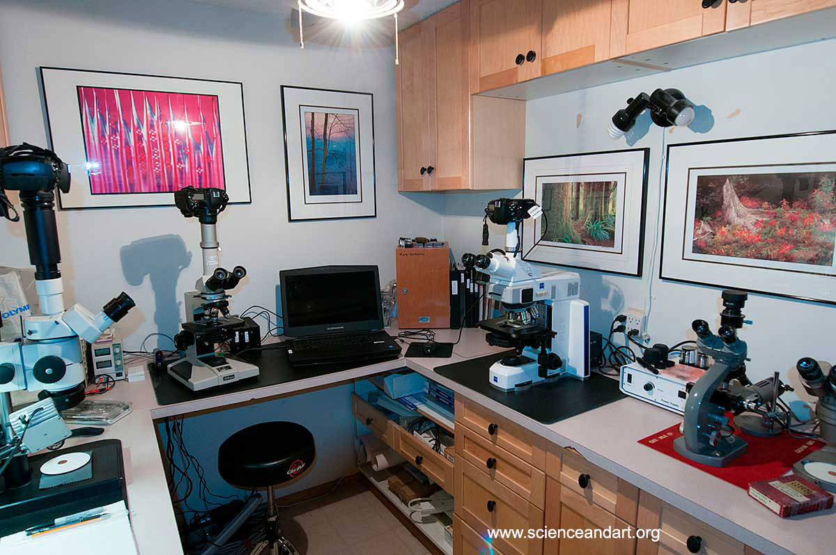 Home Microscopy laboratory by Robert Berdan ©