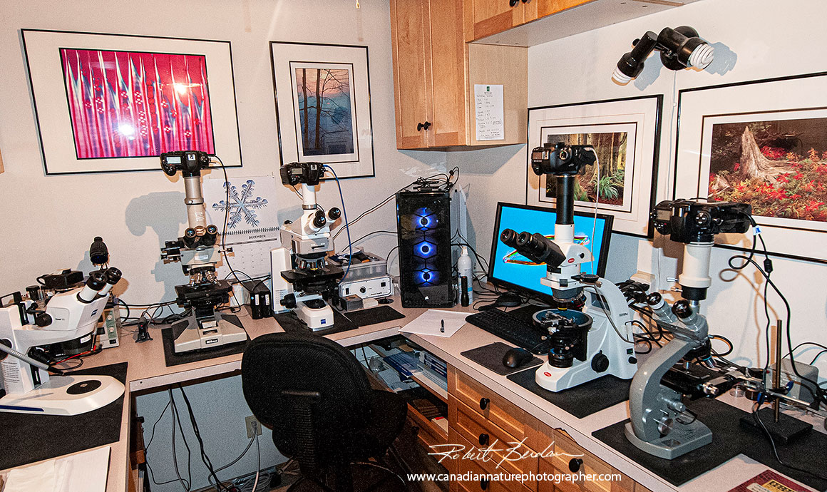 Home microscopy laboratory Robert Berdan ©
