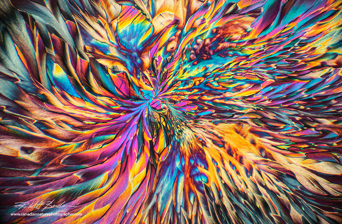 Amino acids by polarized light microscopy Robert Berdan ©