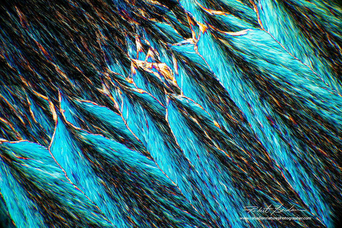 Menthol crystal by melt method Polarizing microscopy 40X Robert Berdan ©