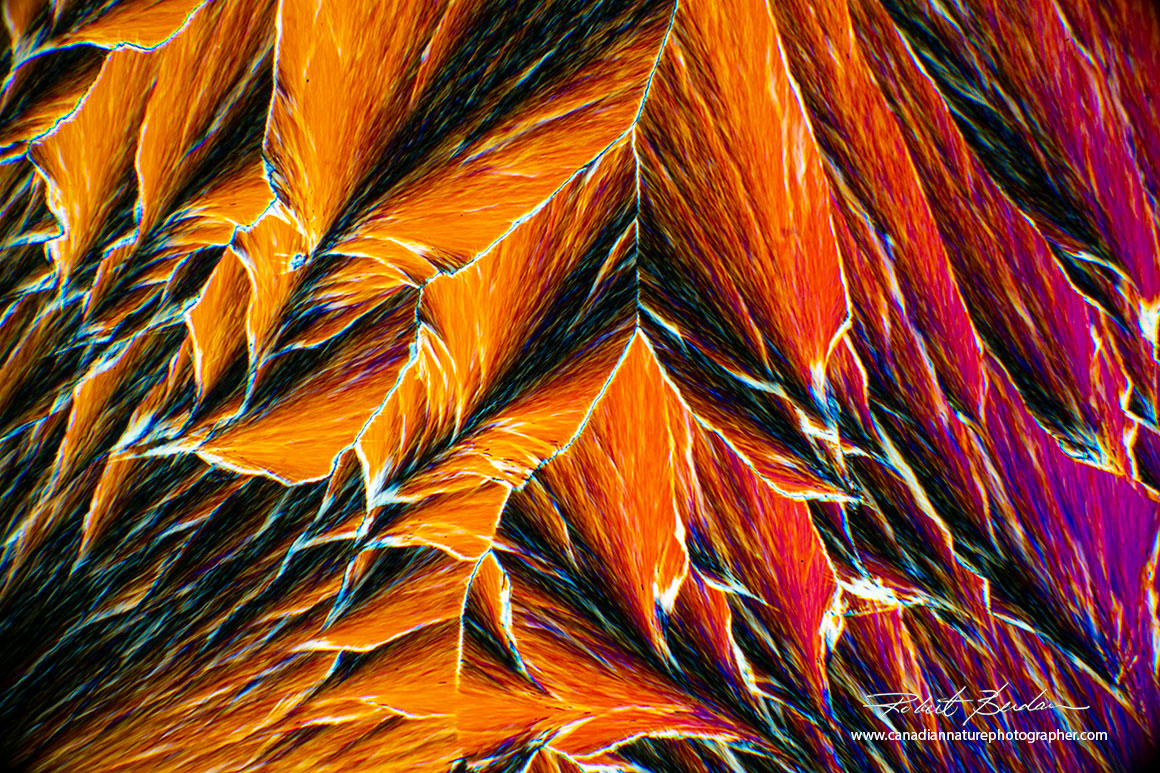 Menthol crystal formed using the melt method 40X polarized light microscopy Robert Berdan ©
