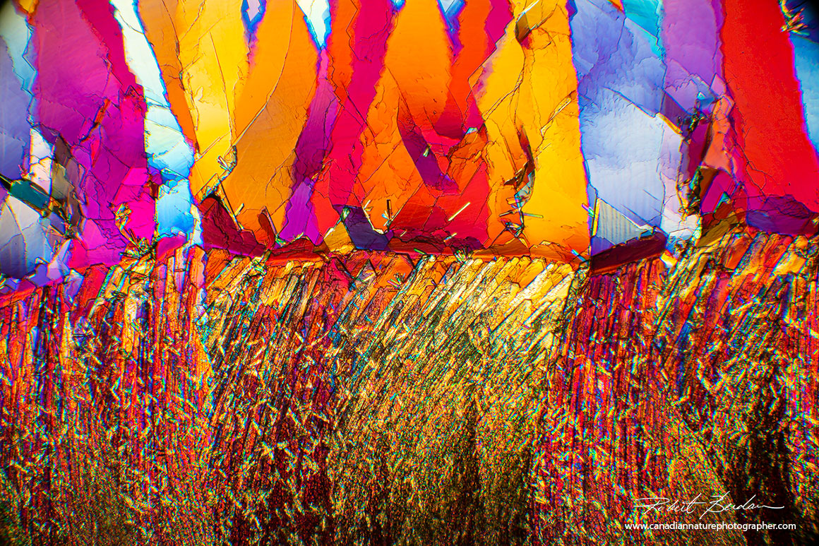 Beta-Alanine and Glutamine 100X polarized light microscopy. Robert Berdan ©