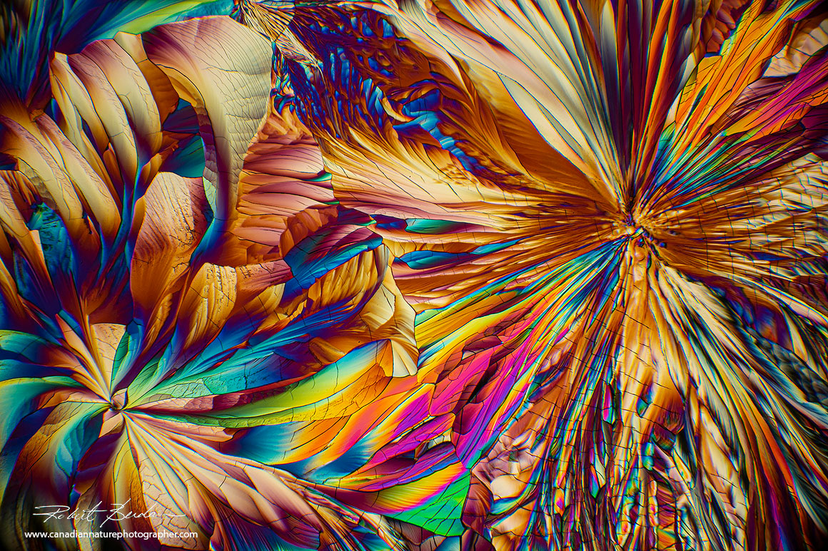 Beta-Alanine and Glutamine 100X polarized light microscopy abstract photography Robert Berdan ©
