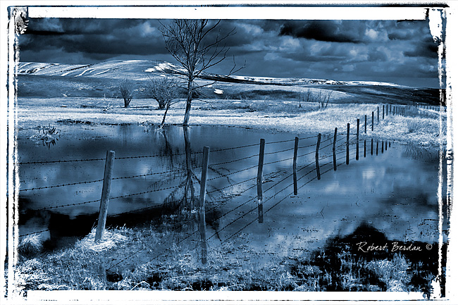 Foothills cyanotype photo by Robert Berdan ©
