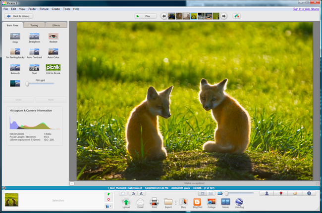 Screen shot of Picasa 3 showing enlarged image preview by Robert Berdan ©