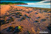 Beach Prince Edward Island National Park by Robert Berdan