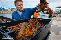 Lobster fisherman near Shelburne Nova Scotia by Robert Berdan