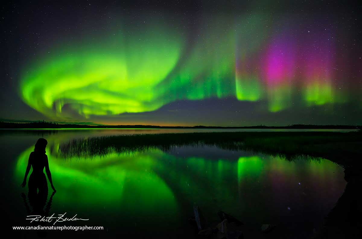 Aurora borealis over Prelude Lake outside Yellowknife  by Robert Berdan ©