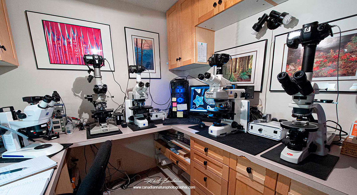 Microscope laborary by Robert Berdan ©