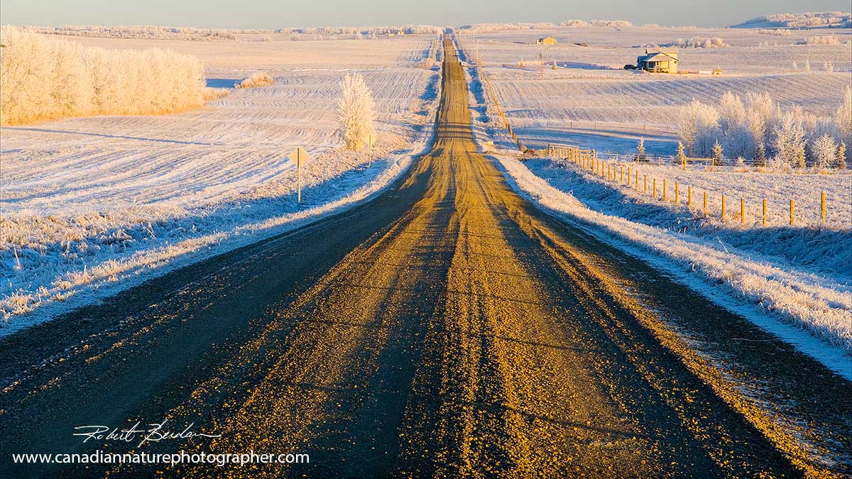 Winter road Calgary by Robert Berdan ©