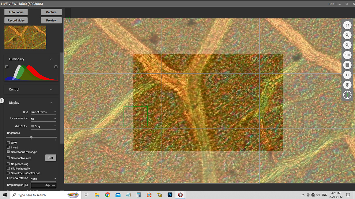 Screen capture Digicam control software showing how much overlap is required to make a panorama  Robert Berdan ©