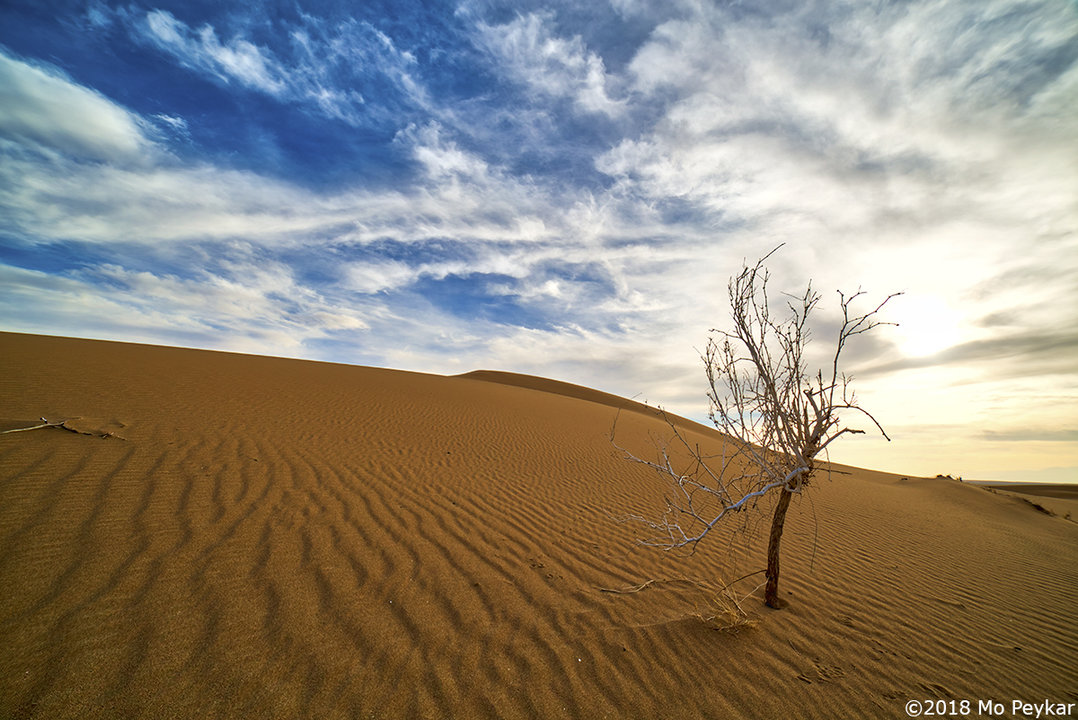 Desert by Mo Peykar ©
