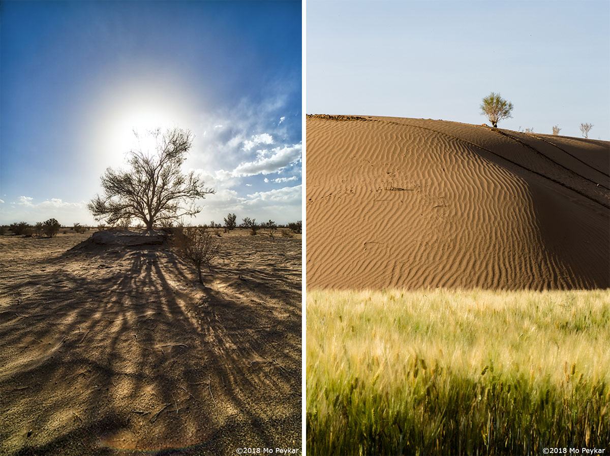 Desert by Mo Peykar ©